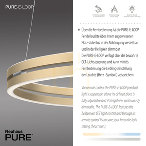 PUREE-LOOP 2551-60 Pendelleuchte aus Messing mit 2 LEDs small 3