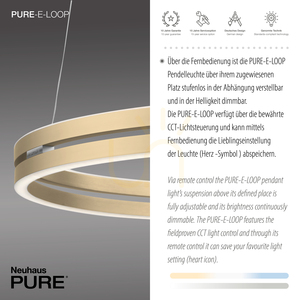 PUREE-LOOP 2551-60 Pendelleuchte aus Messing mit 2 LEDs small 4