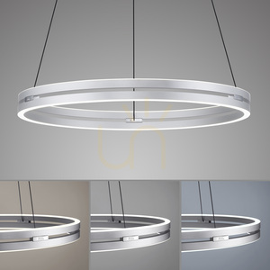 PUREE-LOOP 2551-95 Silber 2xLED-Pendelleuchte small 5