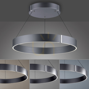 PURE E-CLIPSE 2561-15 Grau 2xLED-Pendelleuchte 5 PURE E-CLIPSE 2561-15 Grau 2xLED-Pendelleuchte small 5