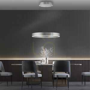 PURE E-CLIPSE 2561-95 Silber 2xLED-Pendelleuchte small 2