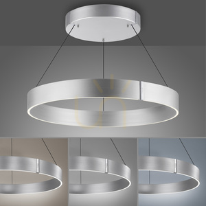 PURE E-CLIPSE 2561-95 Silber 2xLED-Pendelleuchte small 5