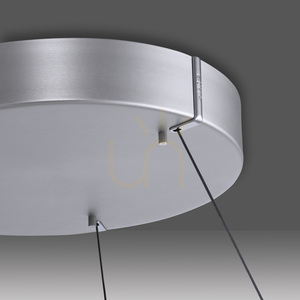 PURE E-CLIPSE 2561-95 Silber 2xLED-Pendelleuchte small 9