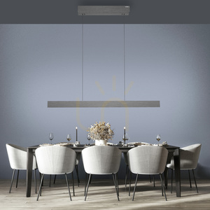 PURE E-MOTION 2570-15 Grau 2xLED-Pendelleuchte small 2