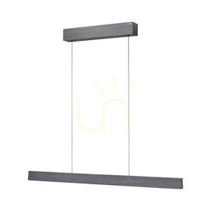 PURE E-MOTION 2570-15 Grau 2xLED-Pendelleuchte small 7