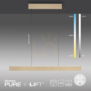 PURE E-MOTION 2570-60 Pendelleuchte aus Messing mit 2 LEDs small 13