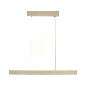 PURE E-MOTION 2570-60 Pendelleuchte aus Messing mit 2 LEDs small 15