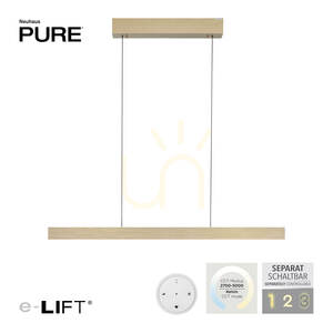 PURE E-MOTION 2570-60 Pendelleuchte aus Messing mit 2 LEDs small 2