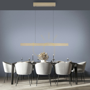 PURE E-MOTION 2570-60 Pendelleuchte aus Messing mit 2 LEDs small 3