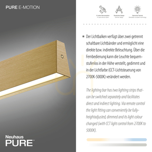 PURE E-MOTION 2570-60 Pendelleuchte aus Messing mit 2 LEDs small 4