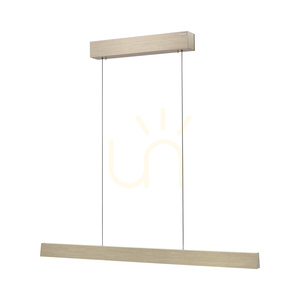 PURE E-MOTION 2570-60 Pendelleuchte aus Messing mit 2 LEDs small 8