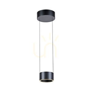 PURE CLIPSE 2471-15 Graue 2xLED-Pendelleuchte small 3