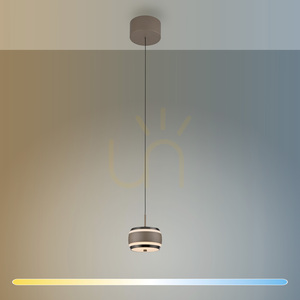 PURE FALLING RINGS 2503-97 Braun 1xLED-Pendelleuchte small 2