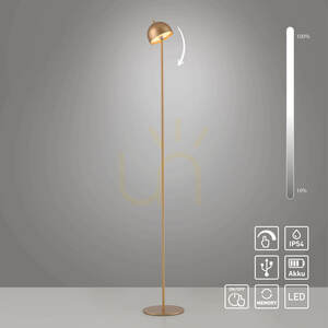 BELLIS 19245-12 Stehlampe, Gold, 1xLED 1 BELLIS 19245-12 Stehlampe, Gold, 1xLED small 1