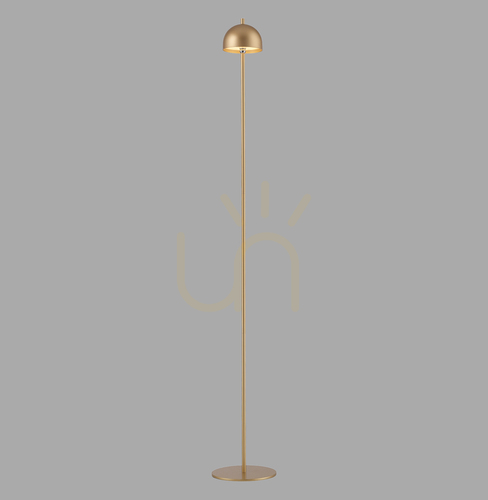 Prüfen BELLIS 19245-12 Stehlampe, Gold, 1xLED