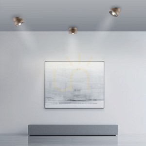 PURE MOVE 6235-97 Deckenleuchte, braun, 1xLED small 2