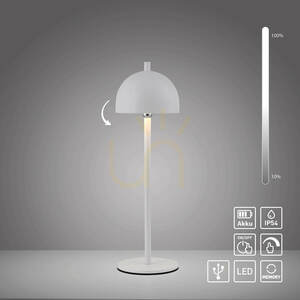 BELLIS 19244-16 Tischlampe, weiß, 1xLED 1 BELLIS 19244-16 Tischlampe, weiß, 1xLED small 1
