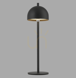 BELLIS 19244-18 Tischlampe, schwarz, 1xLED small 0