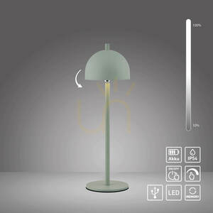 BELLIS 19244-43 Tischlampe, grau, 1xLED small 1
