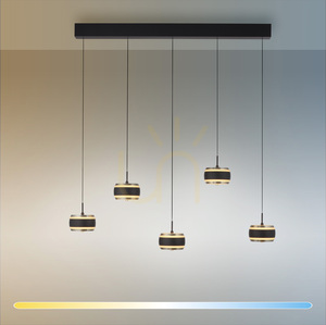 PURE FALLING RINGS 2504-18 Schwarz 5xLED-Pendelleuchte 2 PURE FALLING RINGS 2504-18 Schwarz 5xLED-Pendelleuchte small 2