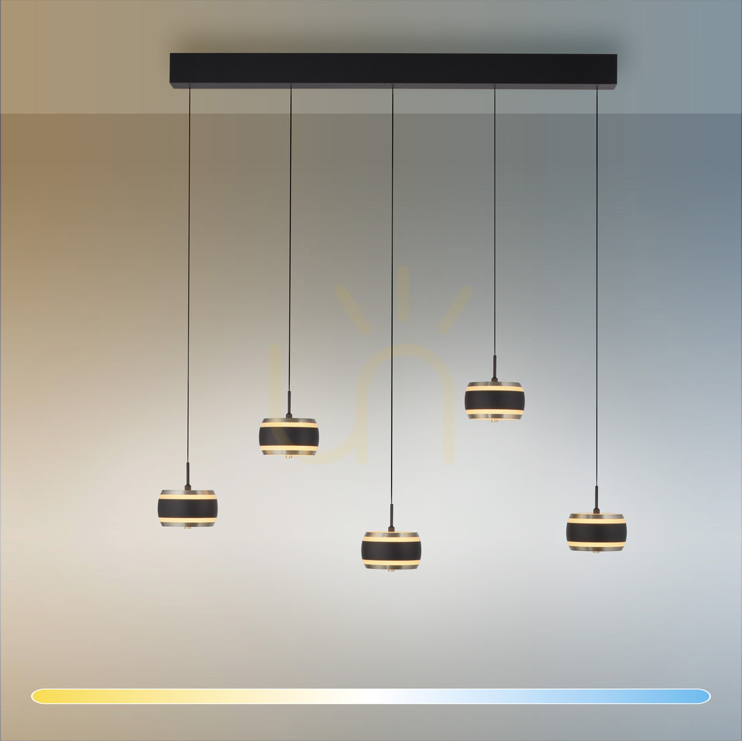 Vorschau PURE FALLING RINGS 2504-18 Schwarz 5xLED-Pendelleuchte PURE FALLING RINGS 2504-18 Schwarz 5xLED-Pendelleuchte