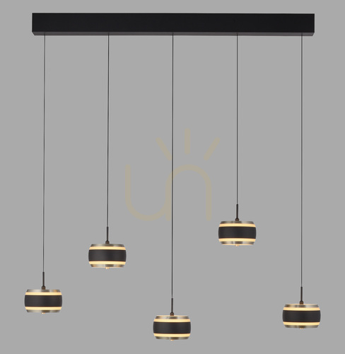 Prüfen PURE FALLING RINGS 2504-18 Schwarz 5xLED-Pendelleuchte