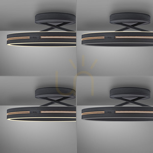 PURE LOOP 6552-18 Schwarze Deckenleuchte, 2xLED 11 PURE LOOP 6552-18 Schwarze Deckenleuchte, 2xLED small 11