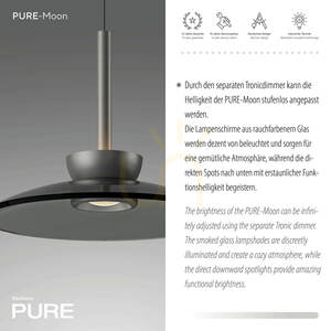 PURE MOON 2193-15 Graue 6xLED-Pendelleuchte small 9