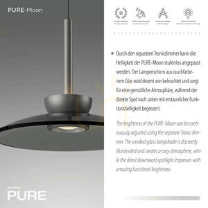 PURE MOON 2191-15 Graue 2xLED-Pendelleuchte small 2
