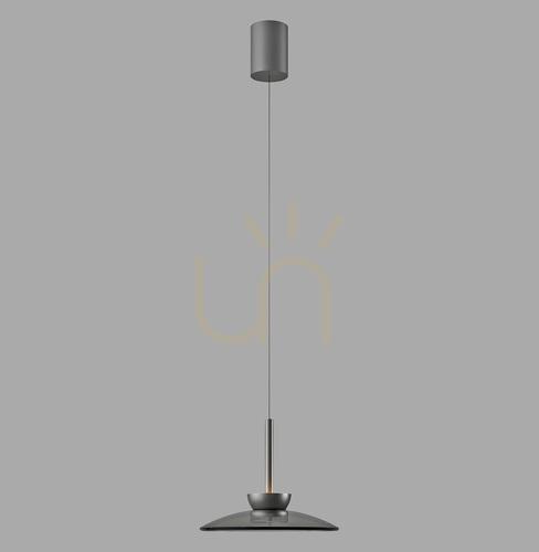 Prüfen PURE MOON 2191-15 Graue 2xLED-Pendelleuchte