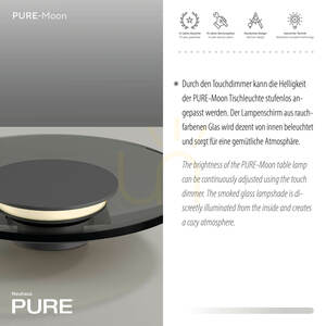 PURE MOON 4594-15 Tischlampe, grau, 1xLED small 9