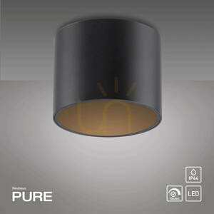 PURE POINT 6761-18 Schwarze Deckenleuchte, 1xLED small 1
