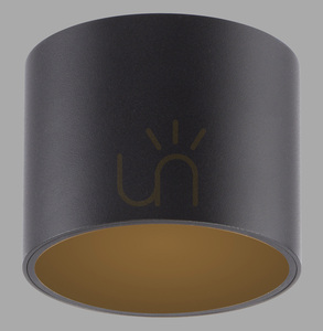PURE POINT 6761-18 Schwarze Deckenleuchte, 1xLED small 0