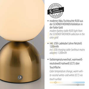 RUDI 19218-12 Tischlampe, Gold, 1xLED 4 RUDI 19218-12 Tischlampe, Gold, 1xLED small 4