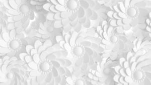 Fototapete Weiße Blumen 3D small 0