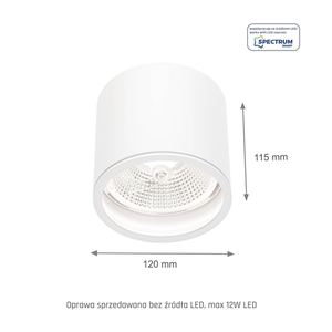 Chloe Ar111 Gu10 Ip65 Round White Fixed 3 Chloe Ar111 Gu10 Ip65 Round White Fixed small 3