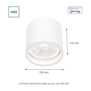 Chloe Ar111 Gu10 Ip65 Round White Fixed 7 Chloe Ar111 Gu10 Ip65 Round White Fixed small 7